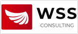 wss-consulting.ru